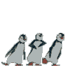 :pinguis: